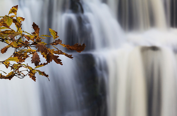 Sgwd y Pannwr, Autumn