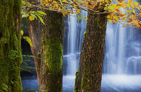 Waterfall Country, Brecon Beacons in autumn
