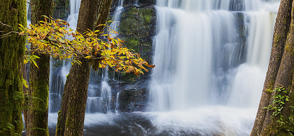 Waterfall Country in autumn