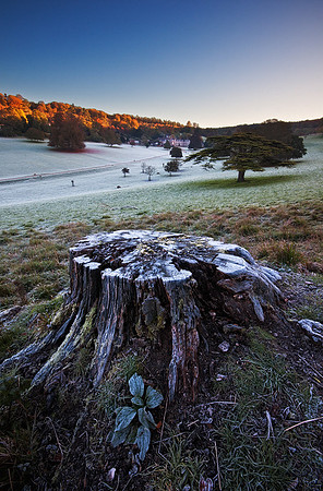 Frosty autumn sunrise at Stonor Park